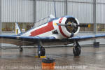 North American T-6D Texan - Esquadrilha da Fumaa - FAB - Foto: Douglas Barbosa Machado - douglas@spotter.com.br