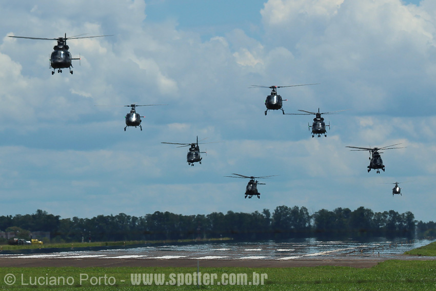 Helicóptero de Controle Remoto Fênix - Estrela em Promoção na Americanas