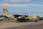 Lockheed KC-130 Hercules do Esquadro Gordo - Foto: Marco Aurlio do Couto Ramos - makitec@terra.com.br