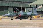 Northrop/Embraer F-5EM Tiger II - Esquadro Pacau - Foto: Marco Aurlio do Couto Ramos - makitec@terra.com.br