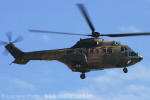 Eurocopter H-34 Super Puma - Esquadro Puma - Foto: Luciano Porto - luciano@spotter.com.br