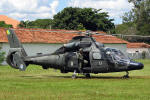 Eurocopter HM-1 Pantera do Batalho Pantera do Exrcito Brasileiro - Foto: Luciano Porto - luciano@spotter.com.br