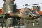 Helibras (Eurocopter) H-50 Esquilo do Esquadro Gavio - Foto: Luciano Porto - luciano@spotter.com.br