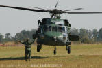 Sikorsky H-60L Black Hawk do Esquadro Pantera - Foto: Luciano Porto - luciano@spotter.com.br