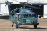 Sikorsky H-60L Black Hawk do Esquadro Harpia - Foto: Luciano Porto - luciano@spotter.com.br