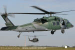 Sikorsky H-60L Black Hawk do Esquadro Harpia - Foto: Luciano Porto - luciano@spotter.com.br