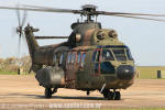 Eurocopter H-34 Super Puma do Esquadro Puma - Foto: Luciano Porto - luciano@spotter.com.br