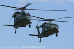 Sikorsky H-60L Black Hawk dos Esquadres Pantera e Harpia - Foto: Luciano Porto - luciano@spotter.com.br