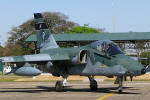 Embraer/Alenia/Aermacchi A-1A do Esquadro Centauro - Foto: Luciano Porto - luciano@spotter.com.br