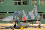 Northrop/Embraer F-5EM Tiger II do Primeiro Grupo de Caa - Foto: Luciano Porto - luciano@spotter.com.br