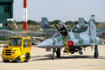 Northrop/Embraer F-5EM Tiger II do Primeiro Grupo de Caa - Foto: Luciano Porto - luciano@spotter.com.br