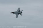 Boeing F/A-18F Super Hornet do VFA-81 Sunliners - Foto: Carlos H. Moyna - carlos@spotter.com.br