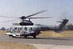Eurocopter AS532 SC Cougar - Marinha do Chile - Foto: Luciano Porto - luciano@spotter.com.br