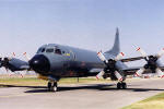 Lockheed P-3B Orion - Marinha do Chile - Foto: Luciano Porto - luciano@spotter.com.br