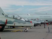 A-36 Halcn, F-5E Tiger III e Pantera