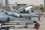 CASA/ENAER A-36 Halcn, Lockheed Martin F-16C Fighting Falcon, Lockheed Martin F-16AM Fighting Falcon e Northrop F-5E Tiger III da Fora Area do Chile - Foto: Equipe SPOTTER