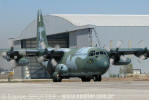 Lockheed C-130 Hercules do Esquadro Gordo da Fora Area Brasileira - Foto: Equipe SPOTTER