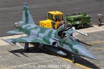 Northrop/Embraer F-5EM Tiger II do Esquadro Pampa - Foto: Equipe SPOTTER