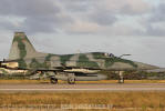 Northrop/Embraer F-5EM Tiger II do Esquadro Pampa - Foto: Equipe SPOTTER