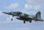 Northrop/Embraer F-5EM Tiger II do Primeiro Grupo de Caa - Foto: Equipe SPOTTER