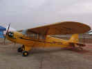 Piper J-3C-65 Cub