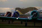 North American T-6D Texan - Circo Areo Oi - Foto: Ricardo Soriani - ricardosoriani@yahoo.com.br