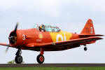 North American T-6D Texan - Circo Areo Oi - Foto: Equipe SPOTTER