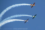 North American T-6D Texan da Esquadrilha Oi - Foto: Luciano Porto - luciano@spotter.com.br