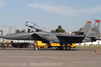 Boeing (McDonnell Douglas) F-15E Strike Eagle - USAF - FIDAE 2008 - Santiago - Chile - 02/04/08 - Luciano Porto - luciano@spotter.com.br