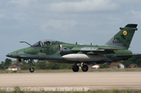 Embraer/Alenia/Aermacchi A-1A - FAB - Natal - RN - 06/11/08 - Ezequiel Celini - ezeqc@ig.com.br