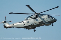 Westland Merlin HM.Mk.1 - Marinha da Inglaterra - Tiger Meet 2009 - Kleine Brogel - Blgica - 18/09/09 - Fabrizio Sartorelli - fabrizio@spotter.com.br