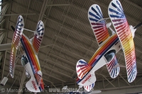 Christen Eagle II - EAA Air Museum - Oshkosh - WI - USA - 27/07/09 - Marcos Miyazaki - marcosmki@uol.com.br