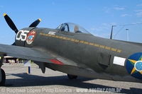 Republic P-47D Thunderbolt da FAB, parte do acervo do Museu Aeroespacial, exposto junto ao Monumento aos Mortos da Segunda Guerra Mundial - Rio de Janeiro - RJ - 08/05/10 - Raphael Lopes Pinto Brescia - raphaelbrescia@yahoo.com.br