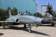 Northrop F-5E Tiger II - Fora Area do Chile - Museo Nacional Aeronutico y del Espacio - Los Cerrillos - Santiago - Chile - 05/04/14 - Luciano Porto - luciano@spotter.com.br