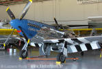 North American P-51D Mustang - Foto: Luciano Porto - luciano@spotter.com.br