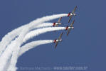 North American T-6 Texan do AeroShell Team - Foto: Douglas Barbosa Machado - douglas@spotter.com.br