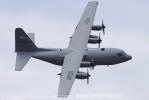 Lockheed C-130H Hercules - USAF - Foto: Douglas Barbosa Machado - douglas@spotter.com.br