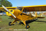 American Legend Cub - Foto: Luciano Porto - luciano@spotter.com.br