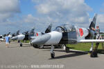 Aero L-39C Albatros - Heavy Metal Jet Team - Foto: Luciano Porto - luciano@spotter.com.br